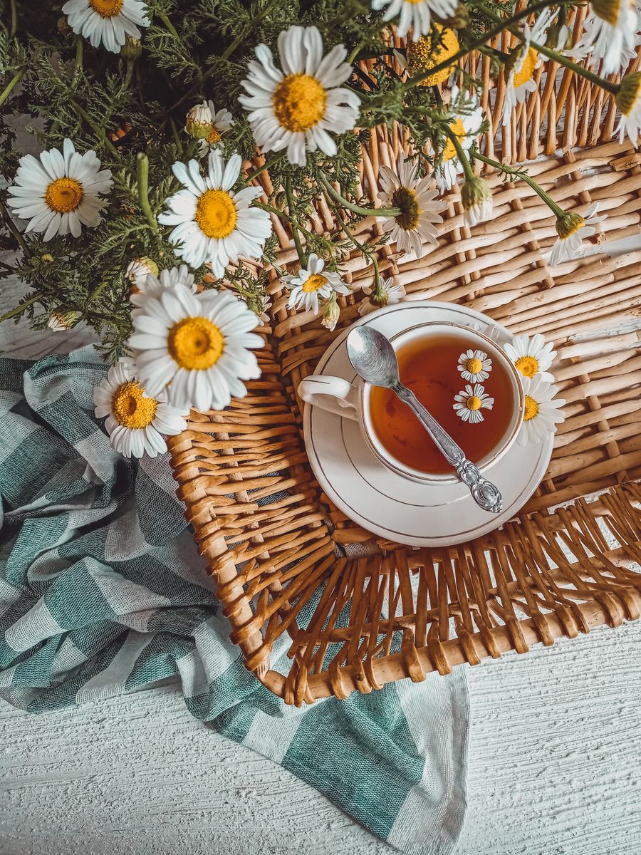 Chamomile Tea